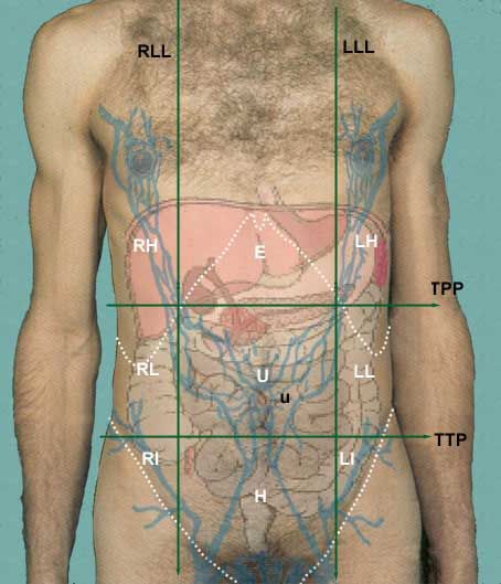 Planes dividing the abdomen into regions and quadrants.
