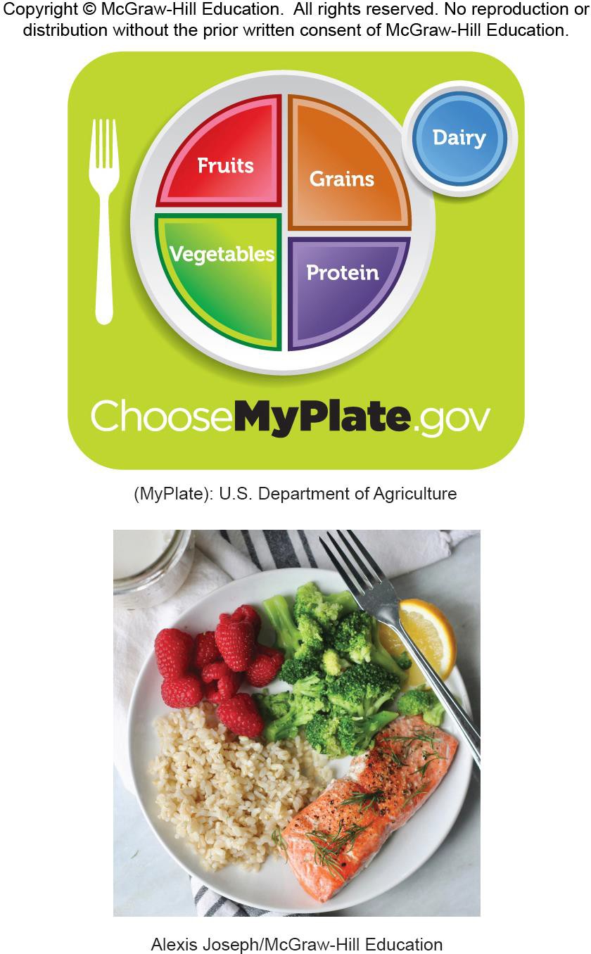 The MyPlate icon: a plate divided into fruits, vegetables, grains, and protein quadrants, with a small circle representing dairy alongside it.
