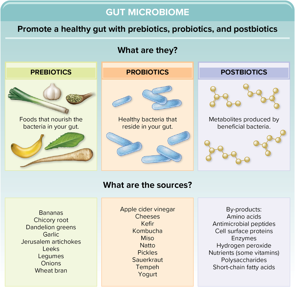 Infographic on prebiotics, probiotics, and postbiotics: what each is, and their food sources such as bananas, garlic, leeks, artichokes for prebiotics; yogurt, kefir, kimchi, sauerkraut for probiotics; and byproducts like short-chain fatty acids for postbiotics.