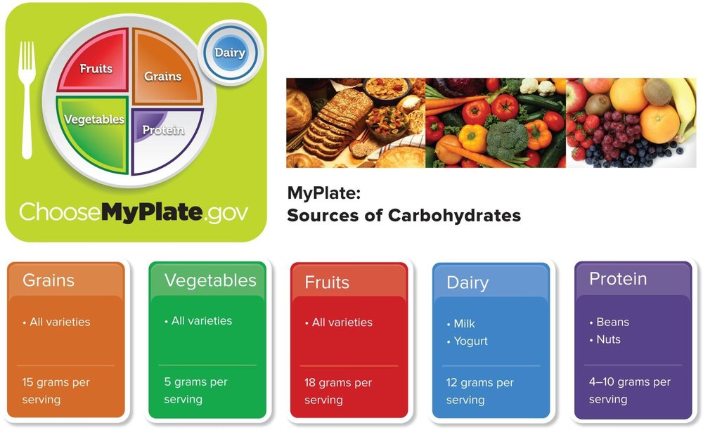 MyPlate graphic showing sources of carbohydrates by food group: grains (bread, rice, pasta, cereal), vegetables (starchy vegetables), fruits (all fruit), and dairy (milk, yogurt).