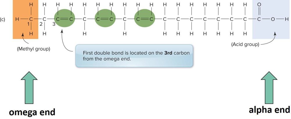 Diagram of the omega-3 polyunsaturated fatty acid alpha-linolenic acid, showing multiple double bonds with the first double bond three carbons from the omega (methyl) end.