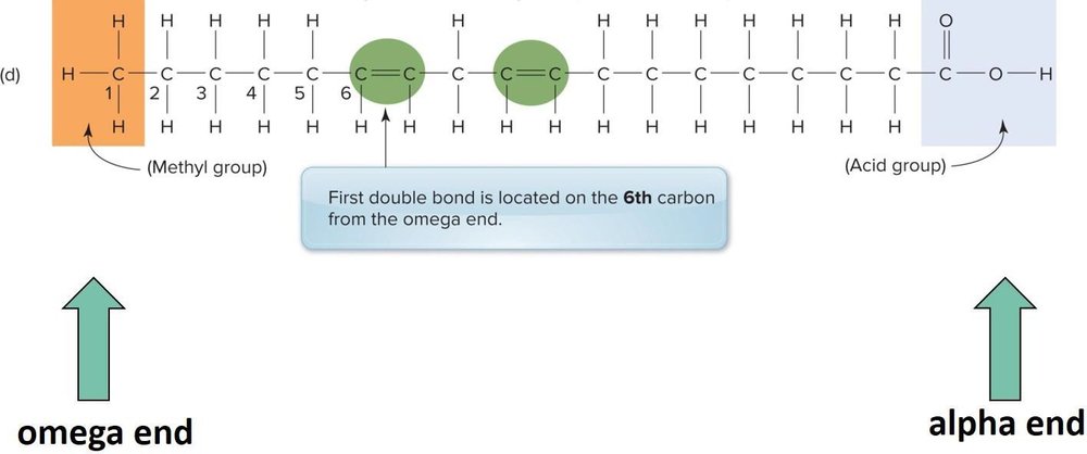 Diagram of the omega-6 polyunsaturated fatty acid linoleic acid, showing multiple double bonds with the first double bond six carbons from the omega end.