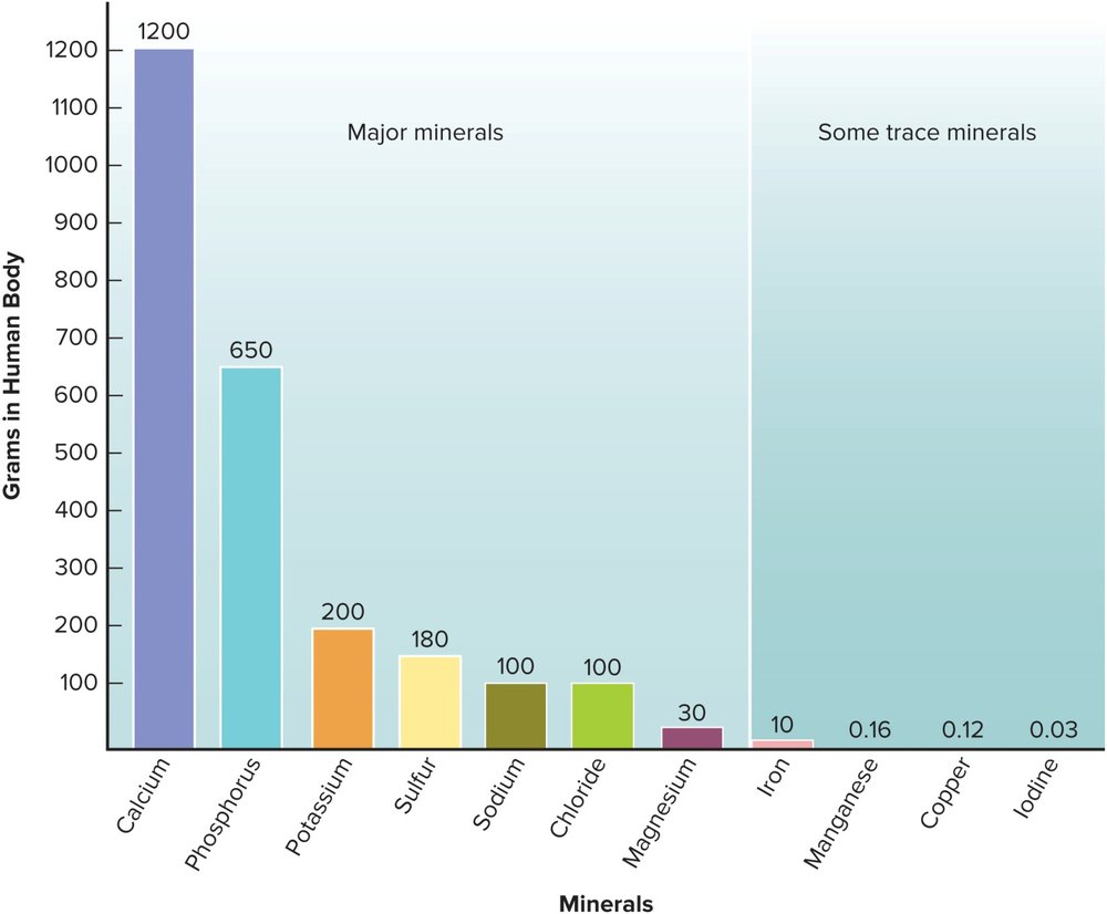 Bar chart of amounts of minerals in the human body in grams, split into major minerals (calcium, phosphorus, potassium, sulfur, sodium, chlorine, magnesium) on a large scale from 0 to 1200 grams, and trace minerals (iron, fluorine, zinc, and others) on a much smaller scale from 0 to 1 gram.