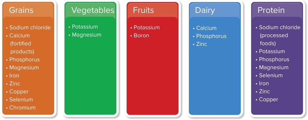 MyPlate graphic showing sources of minerals by food group: grains, vegetables, fruits, dairy, and protein, each listing which minerals they are rich in.