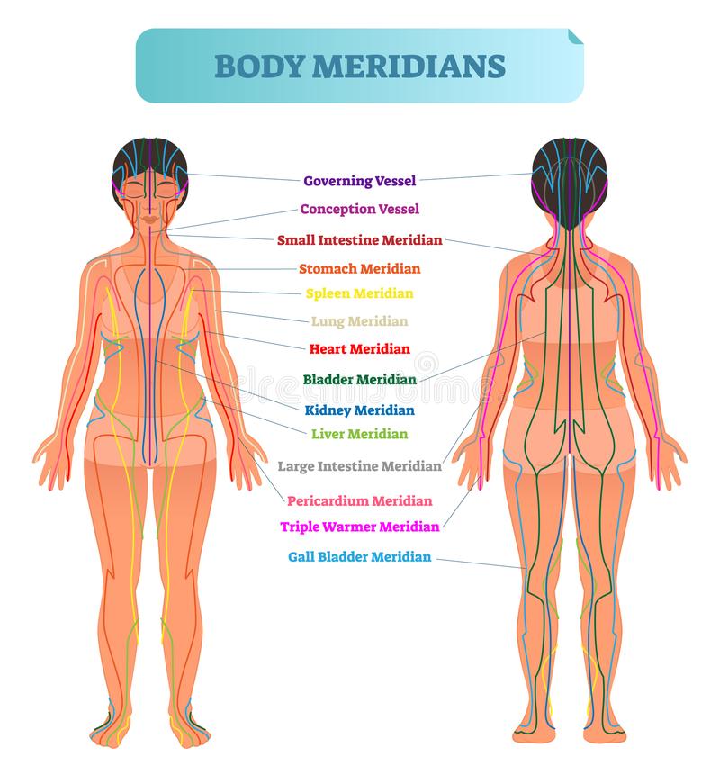 Front and back views of the body showing the named meridian pathways of traditional Chinese medicine