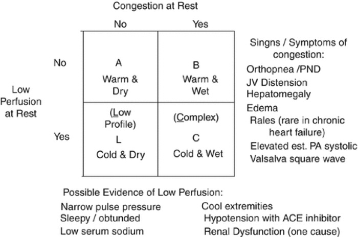 Two-by-two grid of congestion at rest against low perfusion at rest: warm and dry, warm and wet, cold and dry, cold and wet, with lists of congestion and low-perfusion signs.
