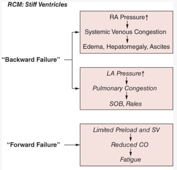 Flow diagram: stiff ventricles cause backward failure (right atrial pressure to systemic congestion, left atrial pressure to pulmonary congestion) and forward failure (limited preload and stroke volume to reduced output and fatigue).