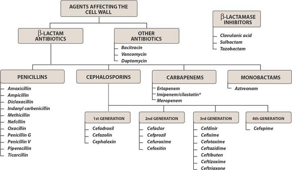 Classification chart headed Agents Affecting the Cell Wall, branching into beta-lactam antibiotics and other antibiotics, with penicillins, cephalosporins by generation, carbapenems and monobactams listed, and a separate box for beta-lactamase inhibitors.