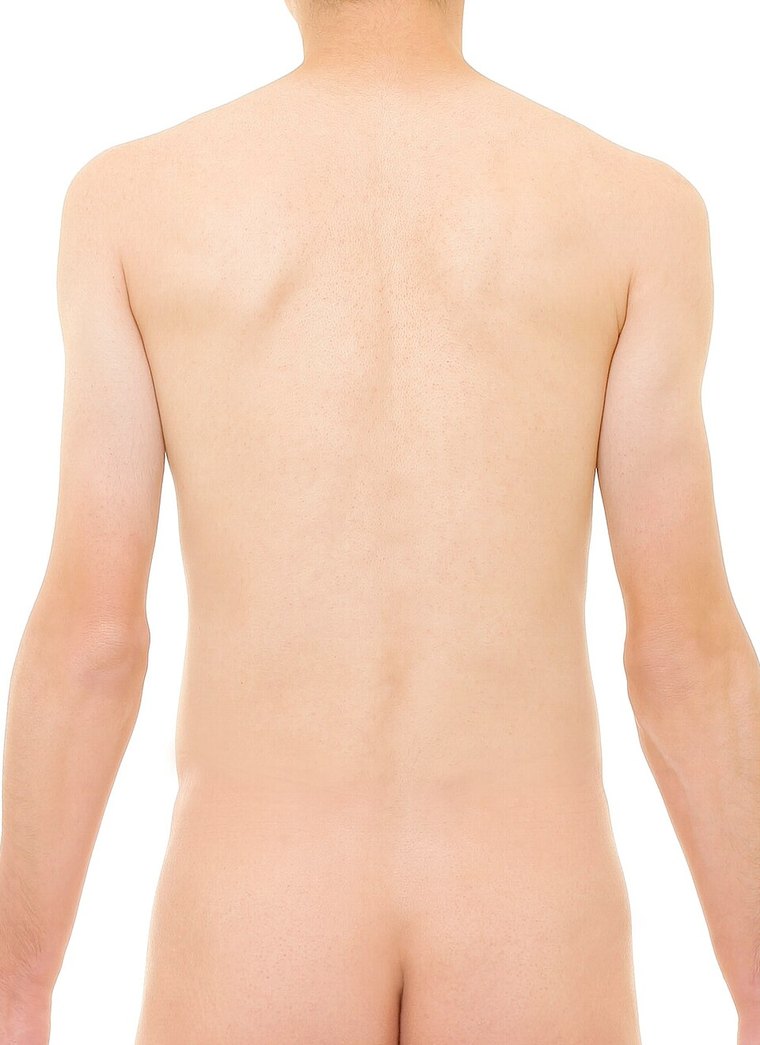 Thoracic and lumbar spine — palpation landmarks marked on a posterior view