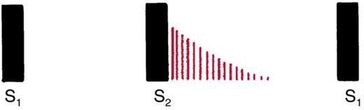 Red lines beginning at full height at S2 and tapering to nothing.