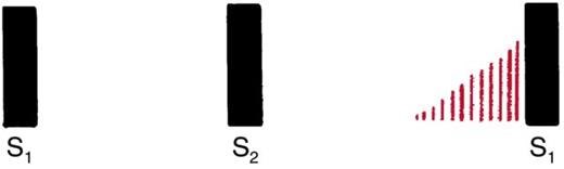 Red lines growing taller as they approach the next S1.