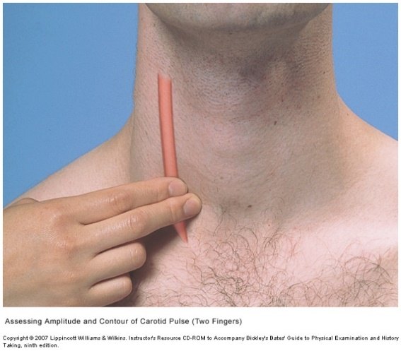 Two fingers placed on the side of a man's neck beside the trachea to feel the carotid pulse.