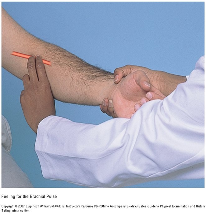 An examiner's fingers pressing into the inner elbow of a patient's extended arm.