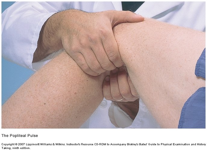 Examiner's fingertips pressing into the back of a patient's flexed, relaxed knee.