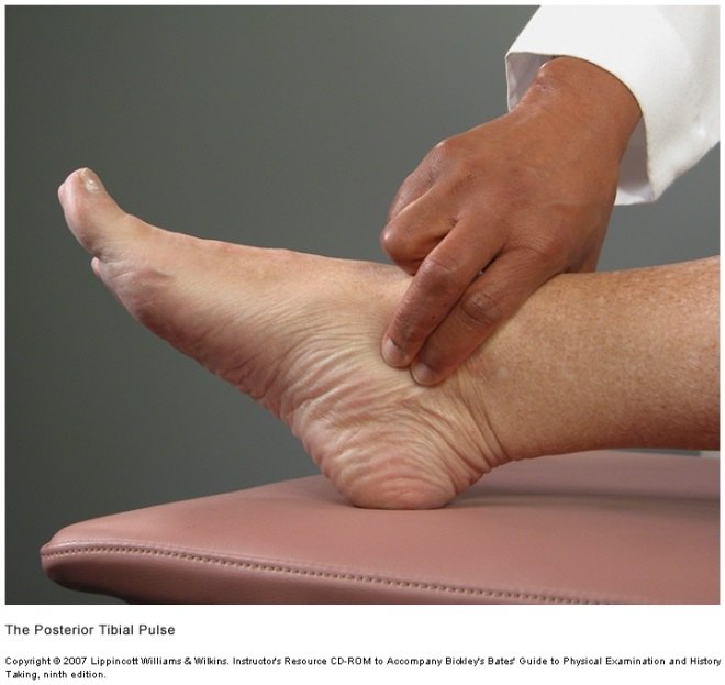 Examiner's fingers curled behind the inner ankle bone of a patient's foot.