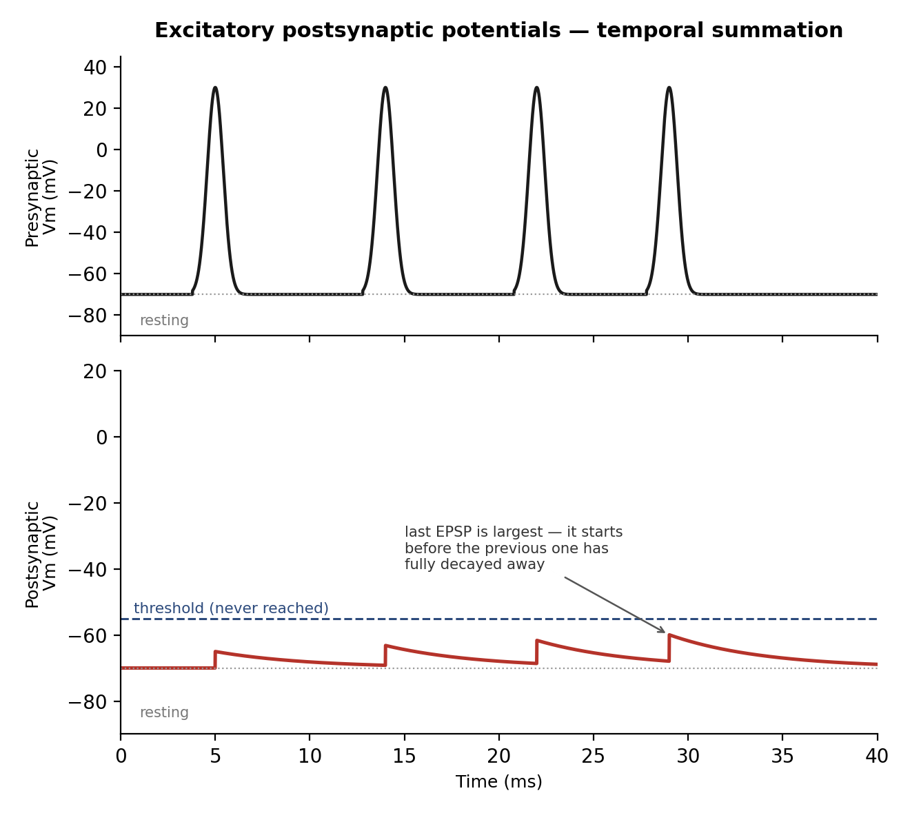 Idealized presynaptic and postsynaptic recordings showing temporal summation of EPSPs