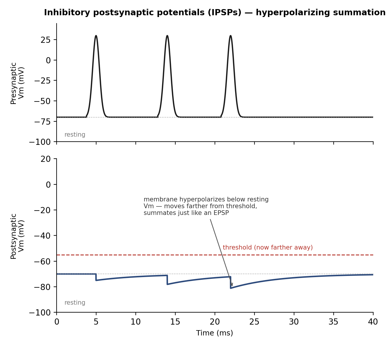 Idealized postsynaptic recording showing temporal summation of IPSPs
