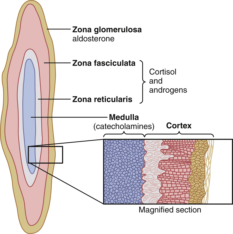 Figure 2.1