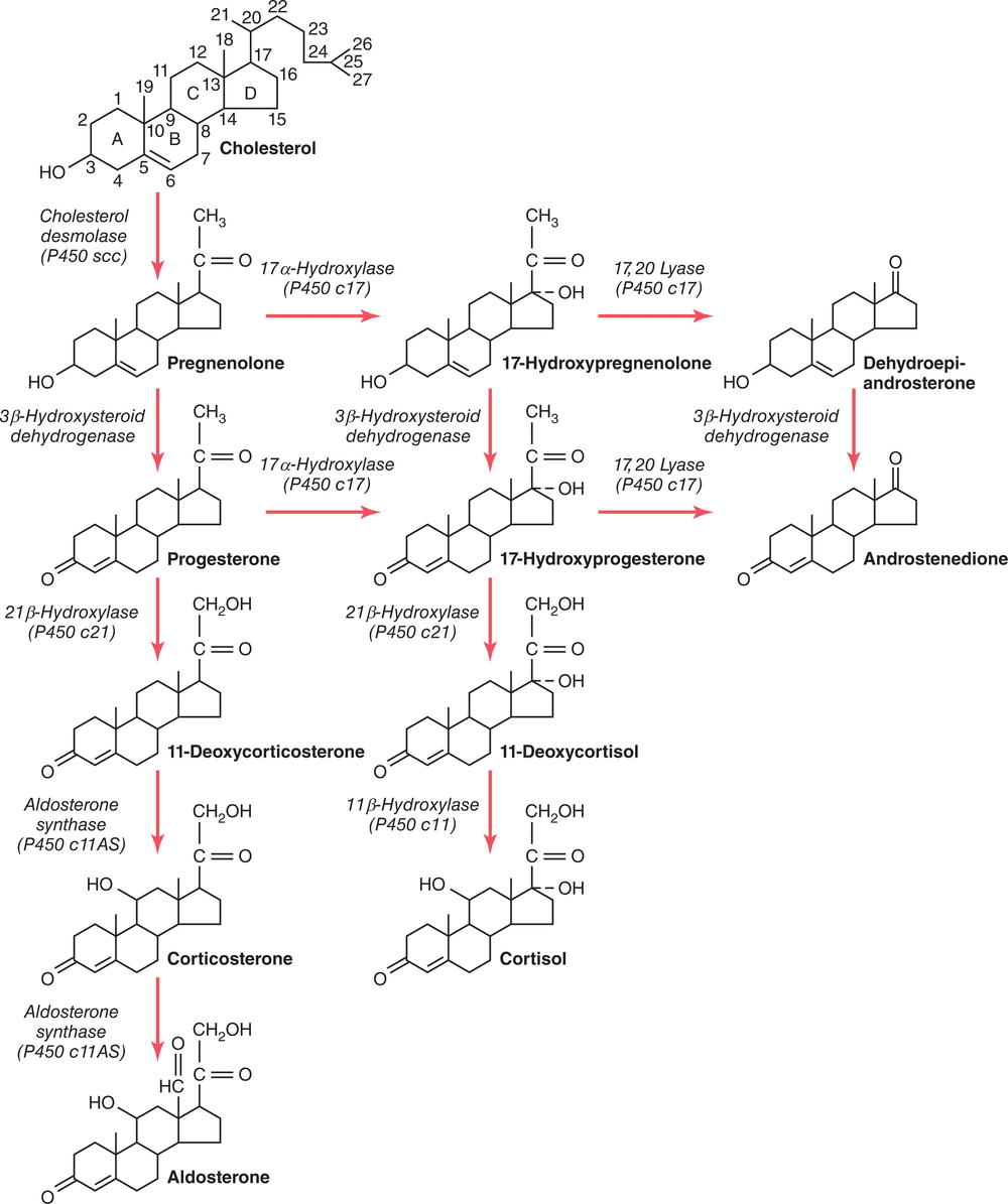 Figure 2.2