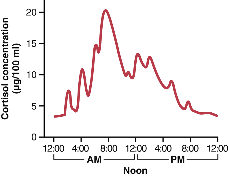 Figure 2.6