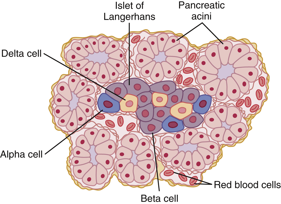 Figure 2.7