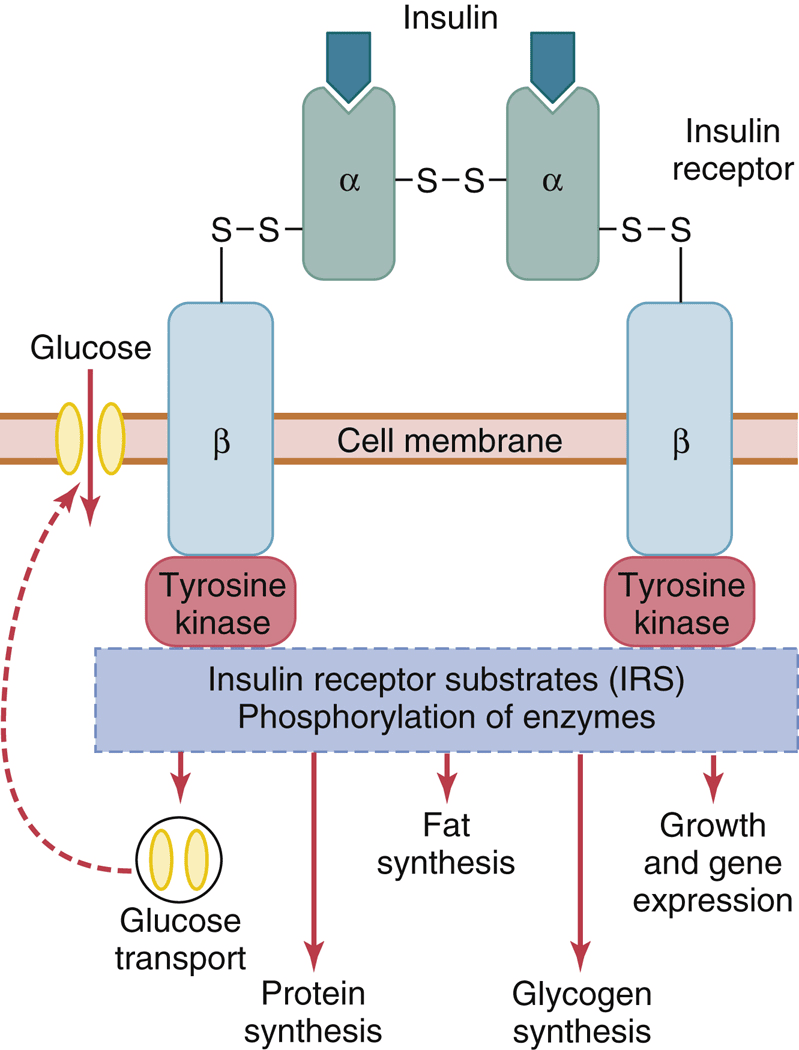 Figure 2.8