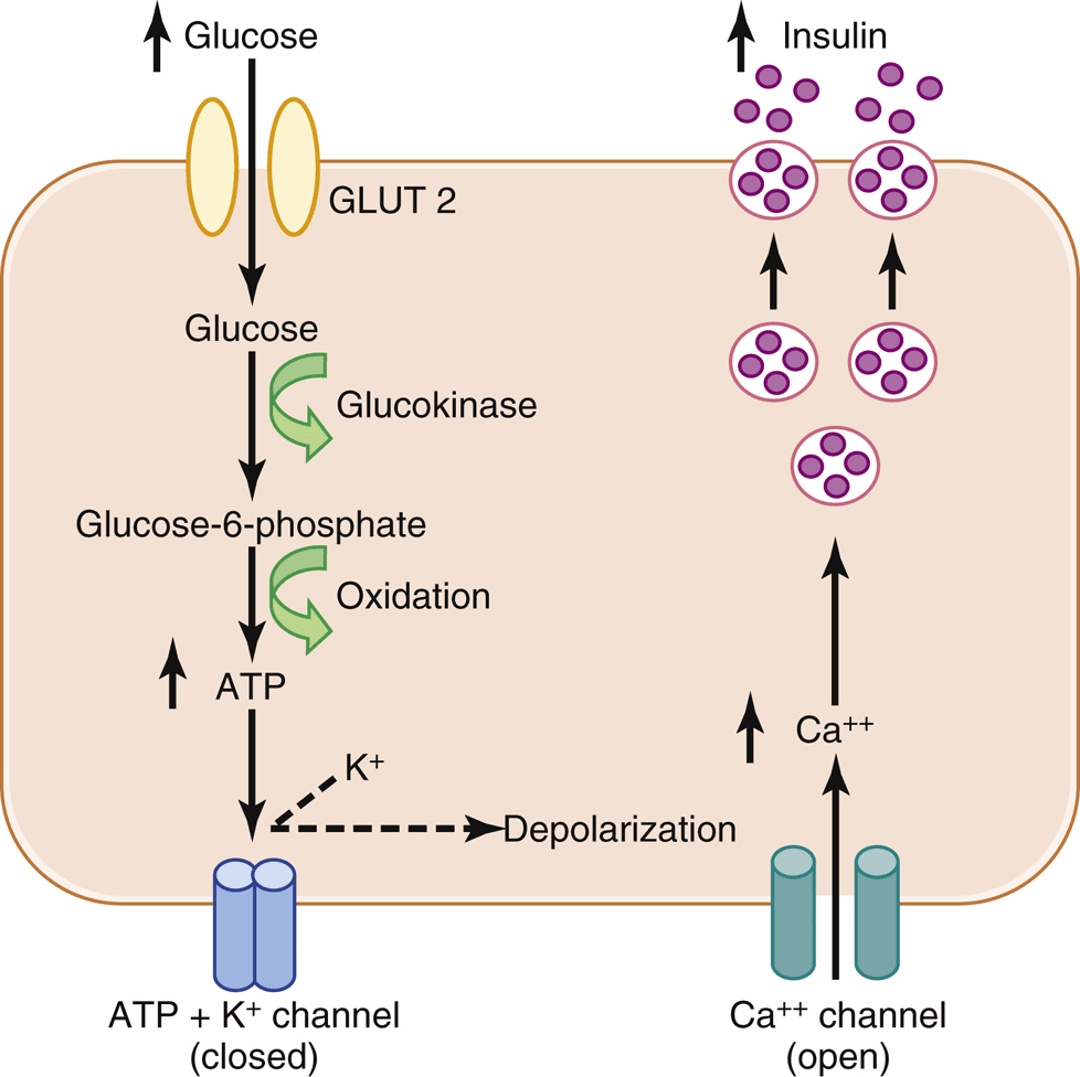 Figure 2.9