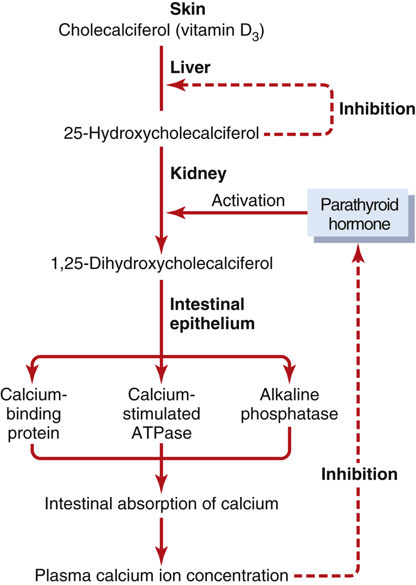 Figure 2.12
