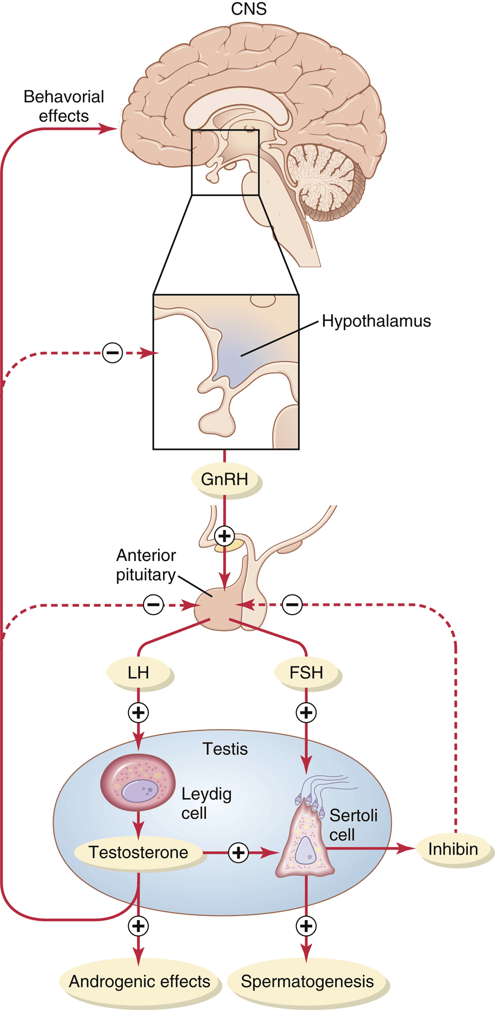 Figure 3.4