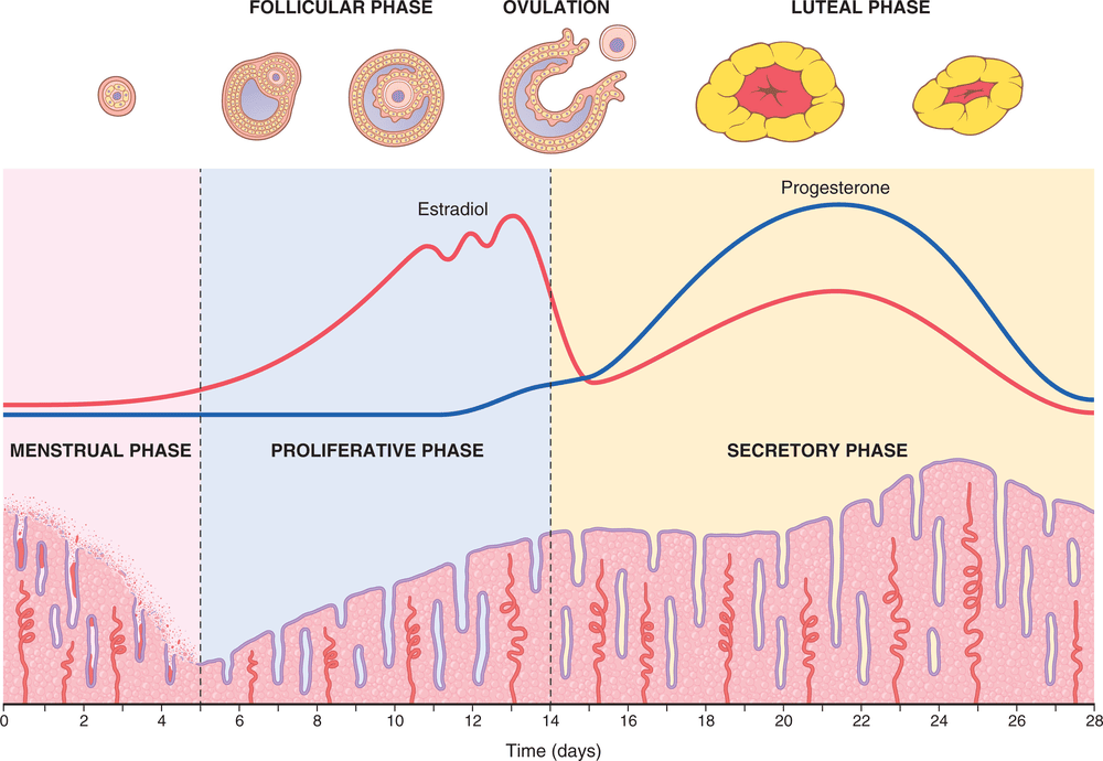 Figure 3.7