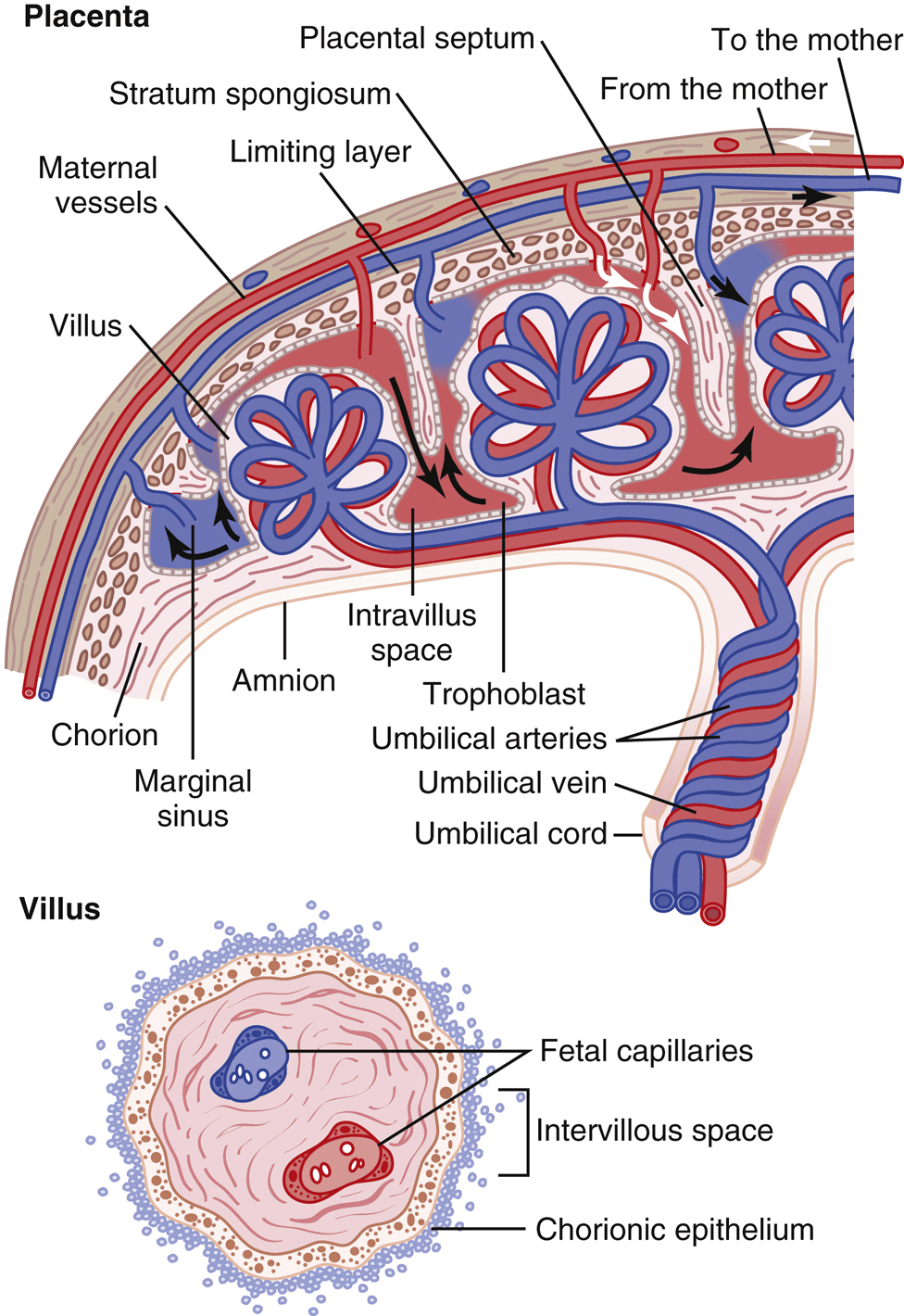Figure 3.8