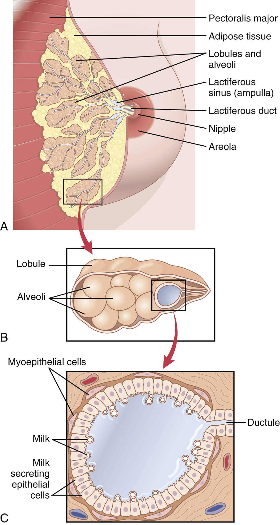 Figure 3.10