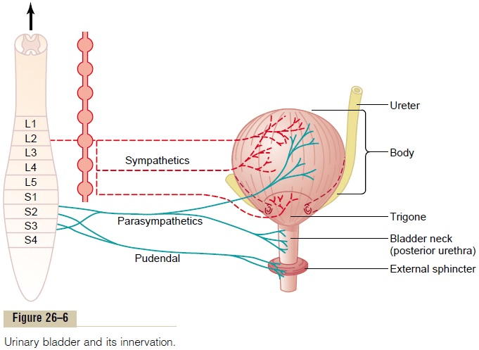 Figure 4.1