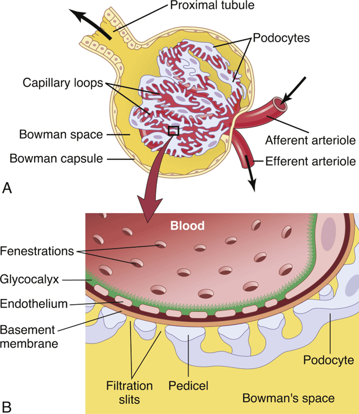 Figure 4.3
