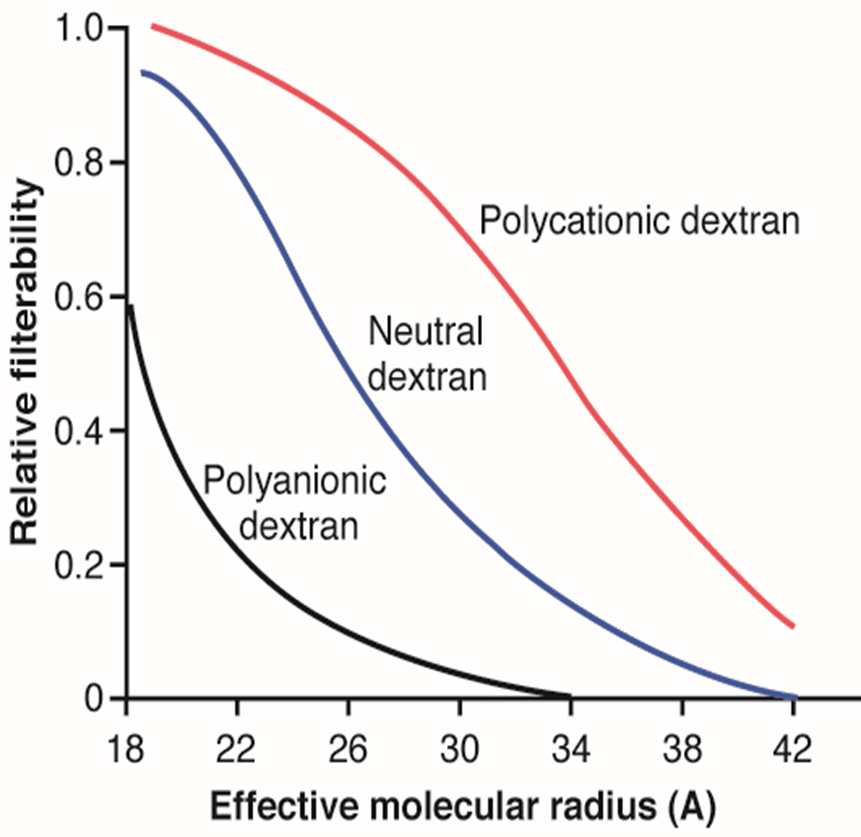 Figure 4.4