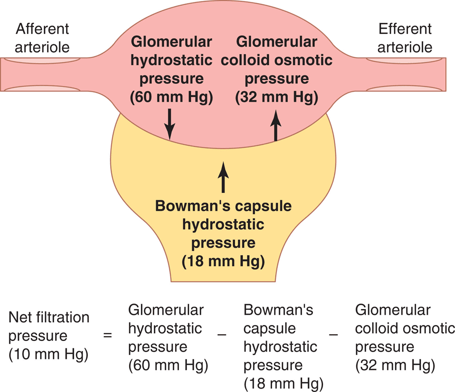 Figure 4.5