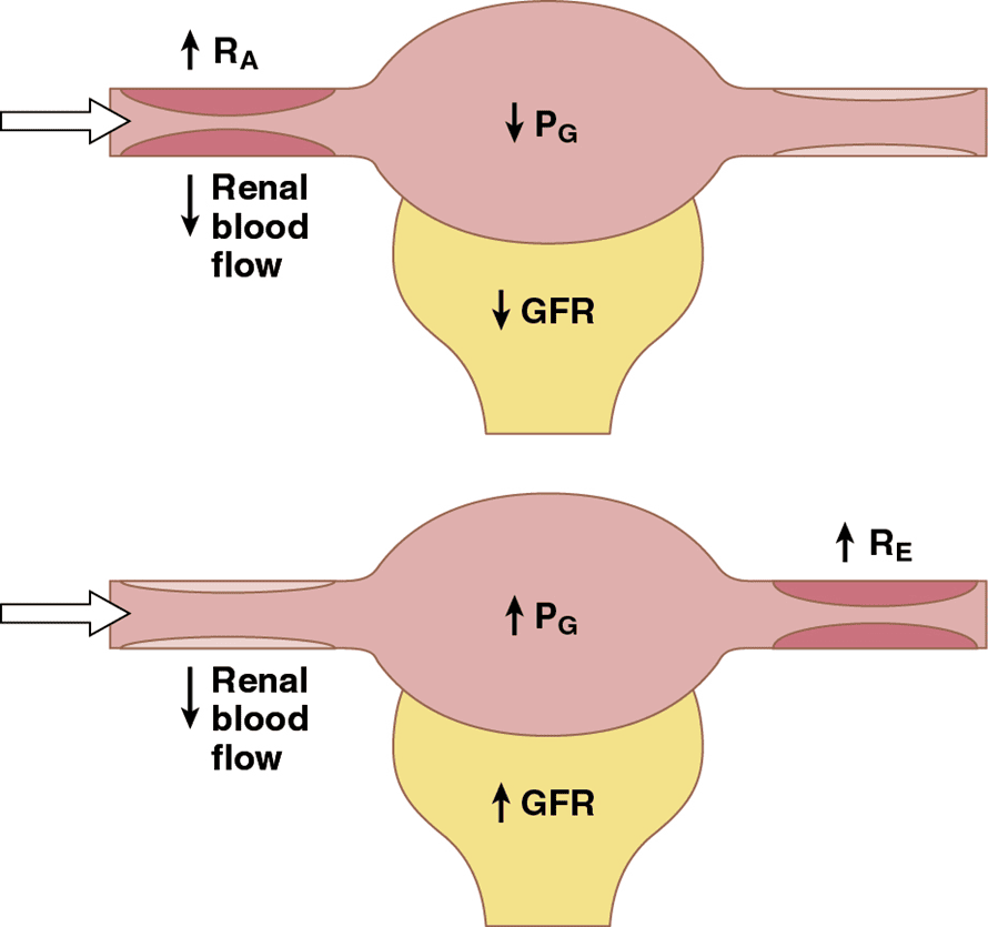 Figure 4.6