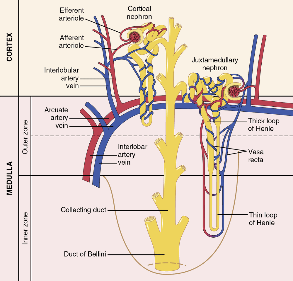 Figure 5.3
