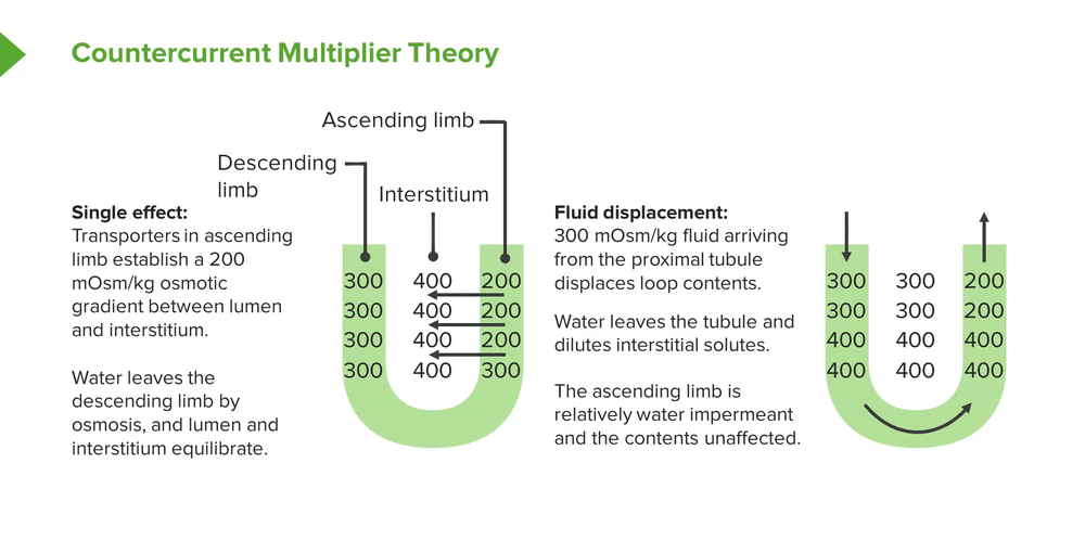 Figure 5.6