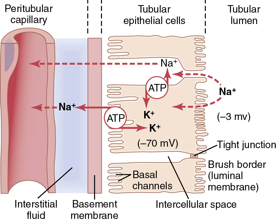 Figure 5.8