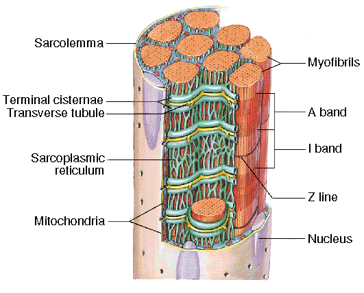 Figure 6.1