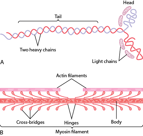 Figure 6.7