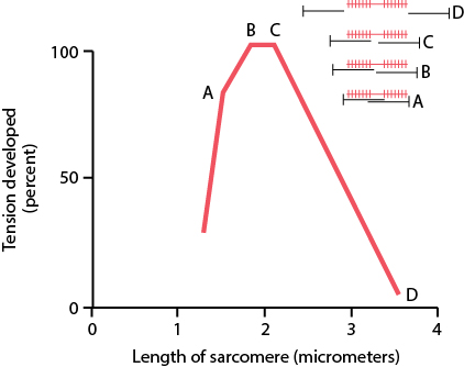 Figure 6.8