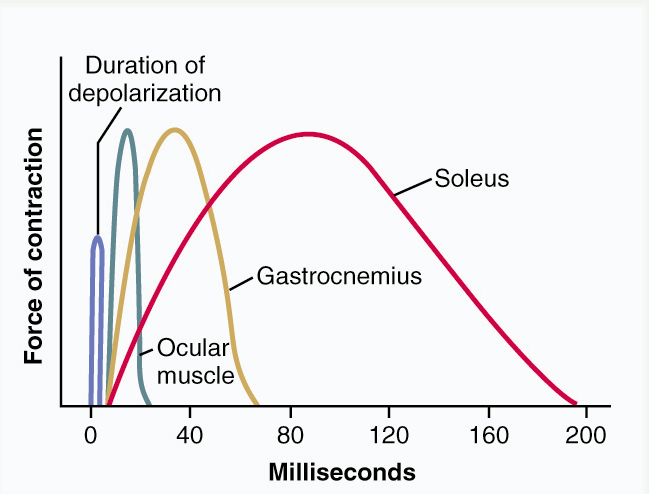 Figure 6.9