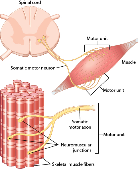 Figure 6.10