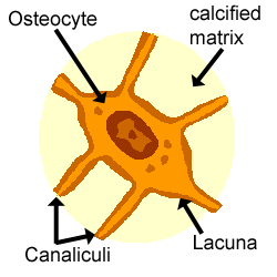 Figure 6.14