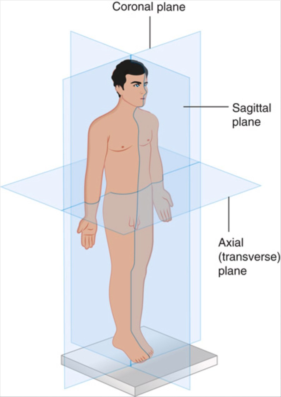 Diagram of a standing figure with three translucent planes drawn through it, labeled coronal plane dividing front from back, sagittal plane dividing left from right, and axial or transverse plane dividing upper from lower.