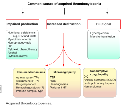Flow chart of common causes of acquired thrombocytopenia: impaired production, increased destruction (immune mechanisms, microangiopathy, consumptive coagulopathy) and dilutional.