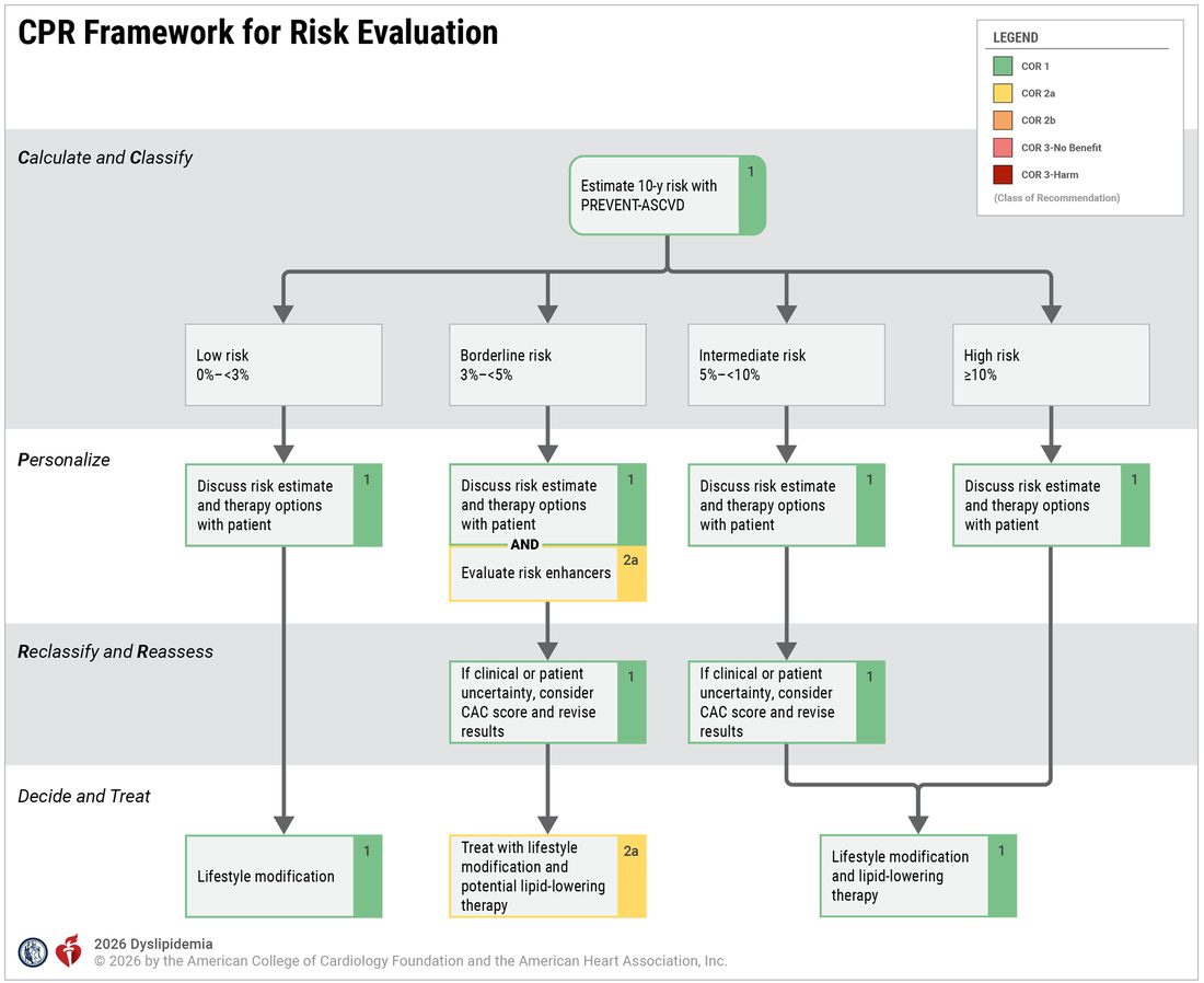Flowchart titled CPR Framework for Risk Evaluation. Estimating 10-year risk with PREVENT splits into low risk under 3 percent, borderline 3 to under 5 percent, intermediate 5 to under 10 percent and high risk 10 percent or above. Every tier discusses the risk estimate and therapy options with the patient; borderline also evaluates risk enhancers. Borderline and intermediate may consider a coronary artery calcium score if there is uncertainty. Low risk ends in lifestyle modification, borderline in lifestyle plus potential lipid-lowering therapy, and intermediate and high in lifestyle and lipid-lowering therapy.